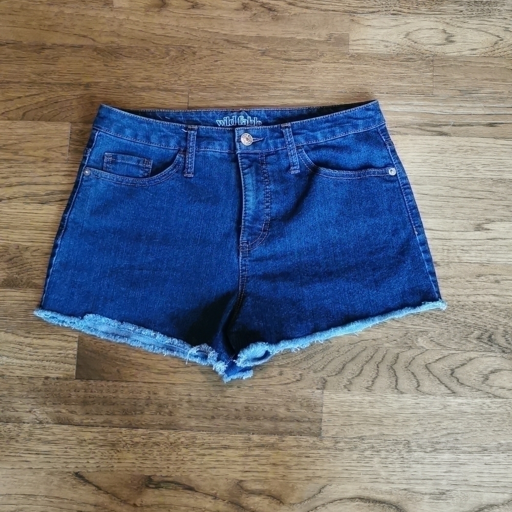 𝅺WILD Fable Faded High Rise Denim Shorts 10